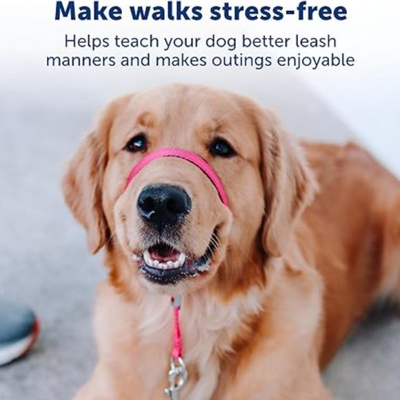 PetSafe Gentle Leader No-Pull Large Dog Headcollar Purple + DVD (60-130 lbs) - Picture 4 of 9